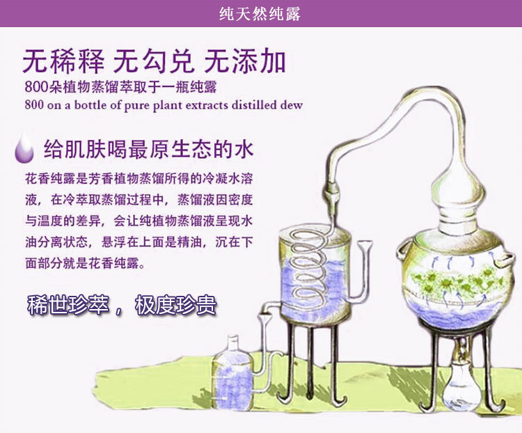薰衣草纯露详情_05