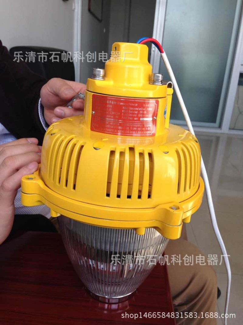 BPC8760防爆灯具LED防爆平台灯.