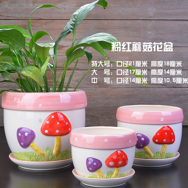 粉色蘑菇