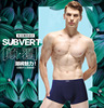 Colored breathable underwear for leisure, shorts, wholesale