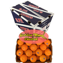 澳洲柑橘_澳洲柑橘价格_优质澳洲柑橘批发\/采