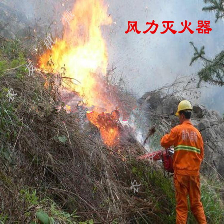 汽油吹风机 风力灭火器质量保证价格优