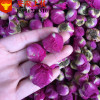 Wholesale supply of peony flower tea, peony balls/peony flower ball/peony flower tea on board supply