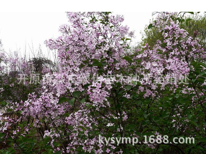 ����Ͱ�y8S8vrahz+M=_aZnBp0