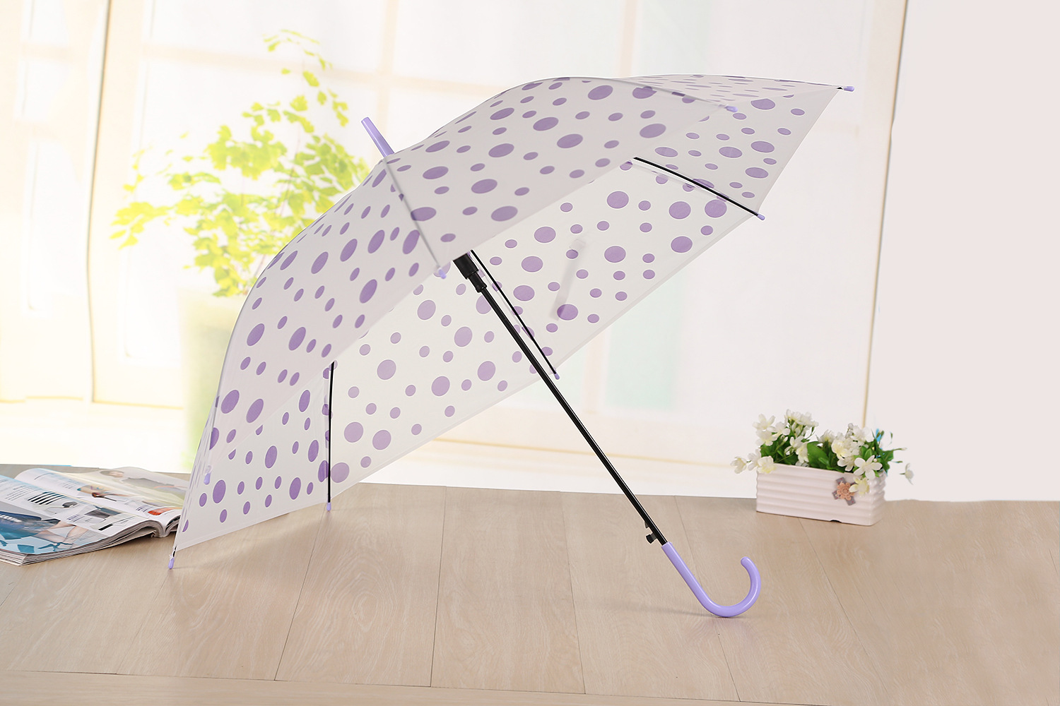 厂家直销环保圆点透明雨伞 时尚遮阳挡风伞 创意直杆长柄自动雨伞-阿里巴巴