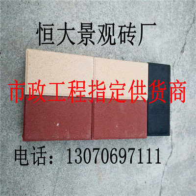 烧结砖/红色地面砖/园林陶土景观砖/宜兴烧结砖/广场透水砖/