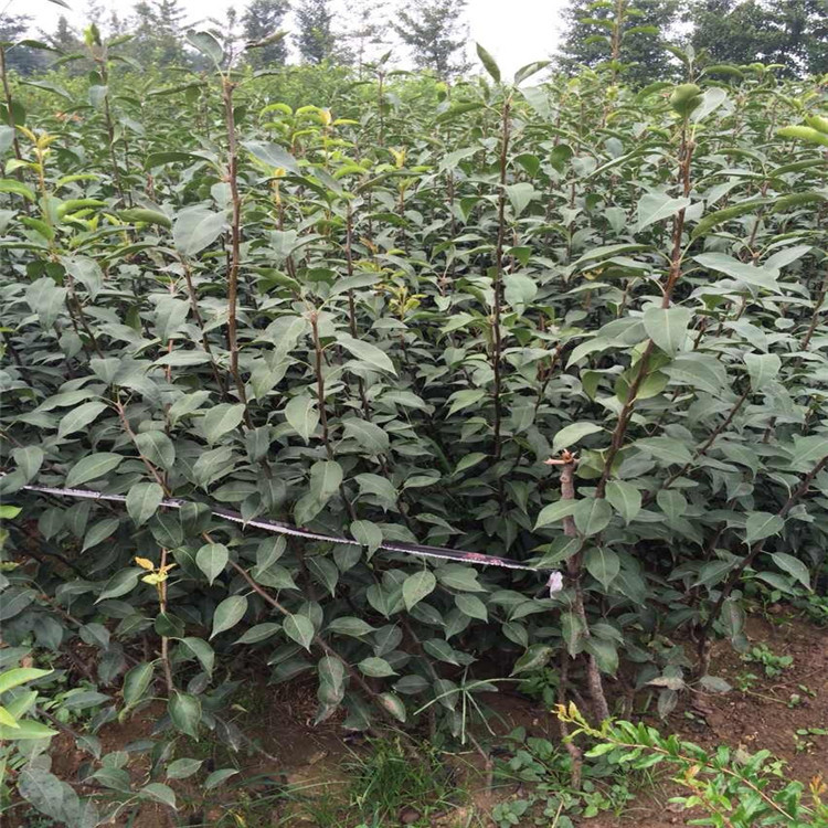 QQ图片20160908211203