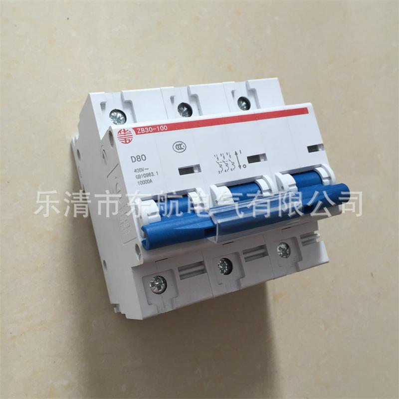 批发正品上海华通 ZB30-100系列小型断路器 华五牌 ZB30-125