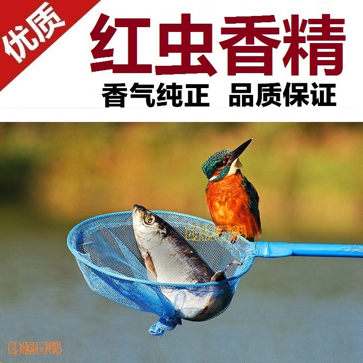 [薦]供應鲫魚鯉魚青魚鲢鳙翹嘴羅非好的甲魚黃鳝誘魚劑釣魚小藥