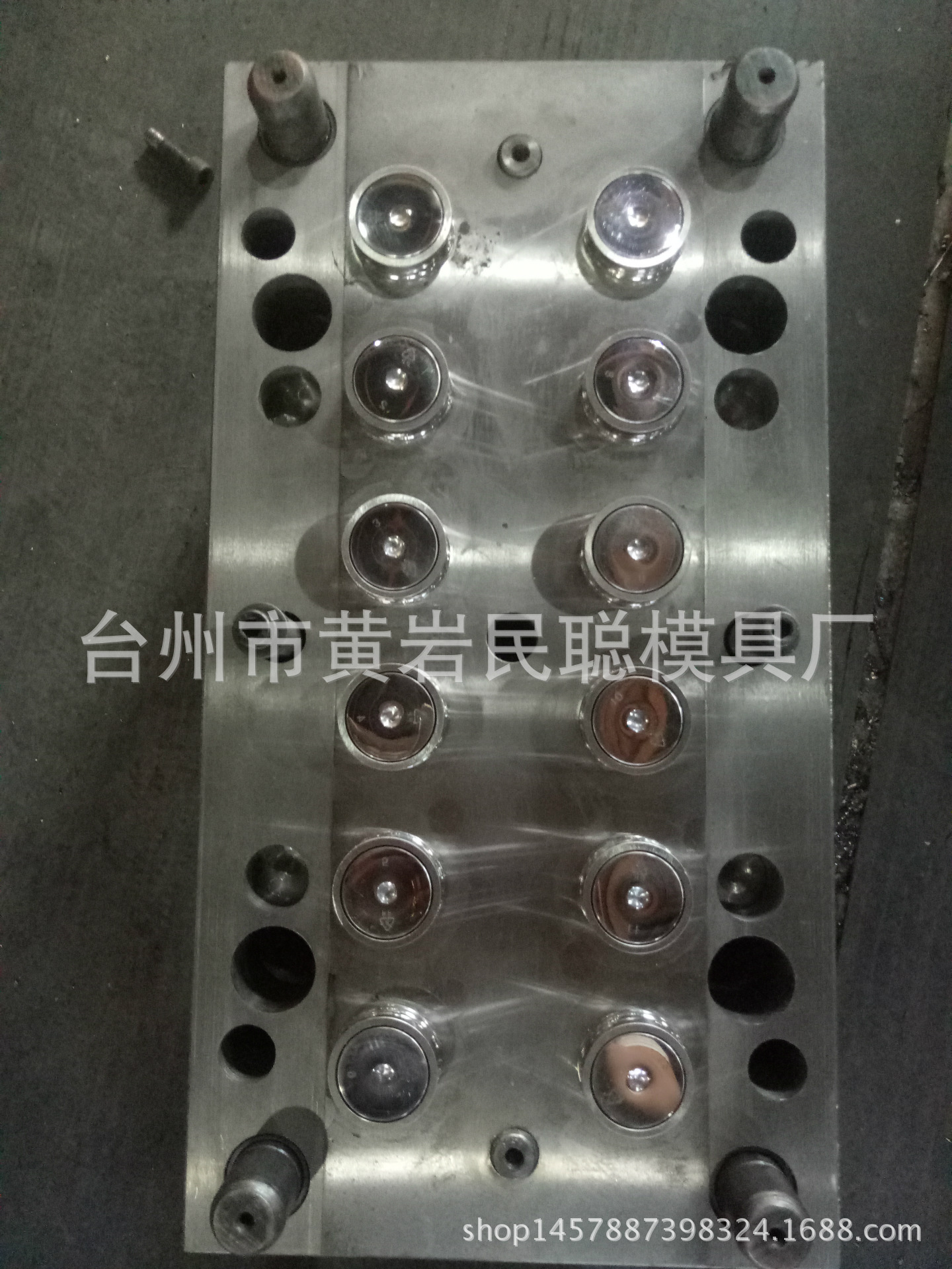 专业瓶盖模具厂加工设计各种模具运动盖多腔3025多腔模具食品