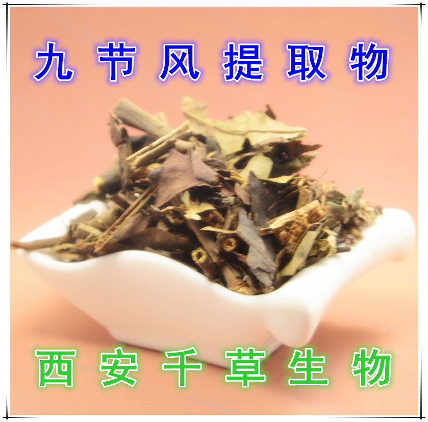 九节风提取物