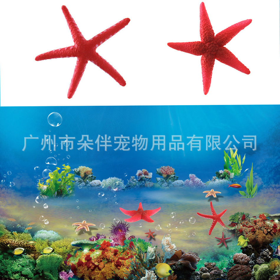 详情图