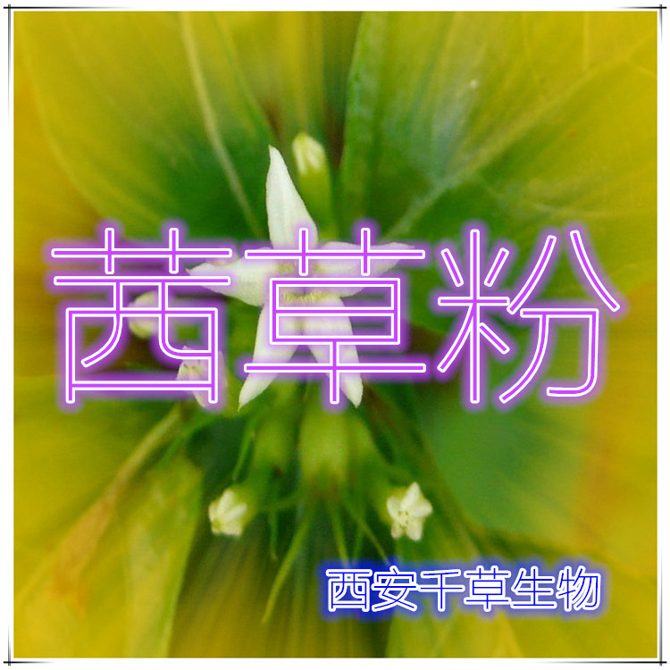 茜草粉