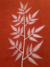  ɫ͸ώFz~Ƭ ߲~ 乤ˇ