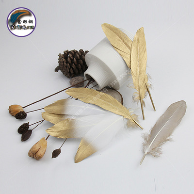 金色羽毛 真羽毛鹅硬飘喷金 饰品辅料整面半金色DIY装饰羽毛