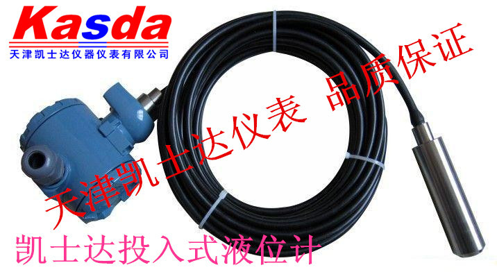 KL208投入式液位计，Kasda线缆插入式液位计，0-5米不锈钢液位计
