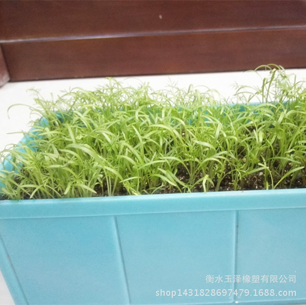 QQ圖片20160112095404_副本