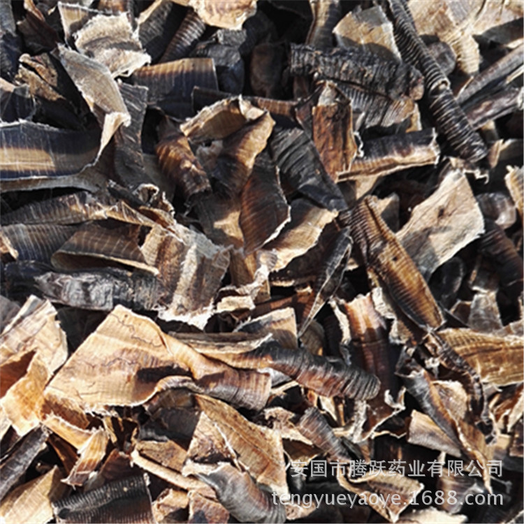 Dried Earthworm Di Long Pheretima Traditional Chinese Herbal Material 500g key features