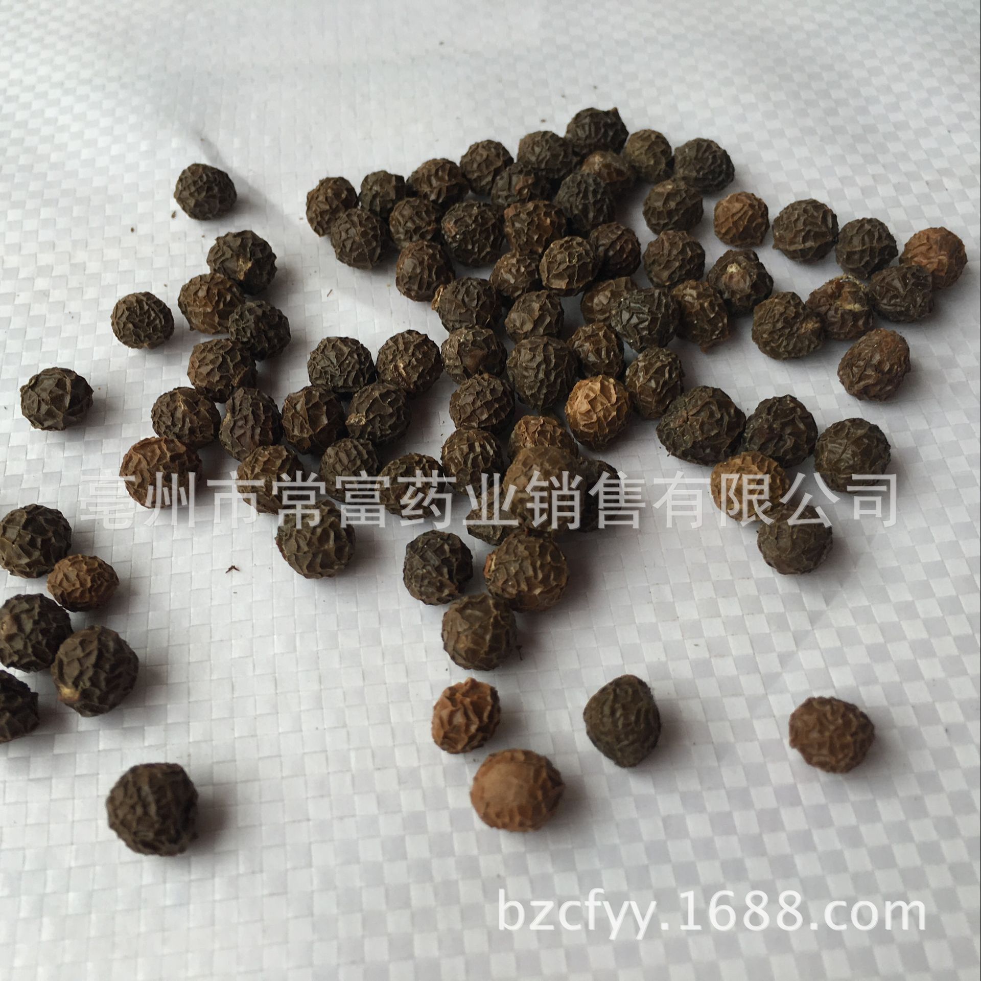Chinese Parasol Tree Seeds Wutong Zi Dried Firmiana simplex Seeds Traditional Herbal Ingredient 500g specifications