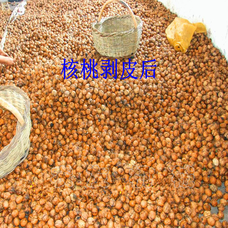 生产销售定做青核桃脱皮清洗一体机 青核桃脱皮机