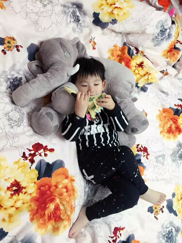 Creative Ins Elephant Plush Toy Pillow Sleep Companion Soothing Toy Cross-border Baby Soothing Doll Birthday Gift