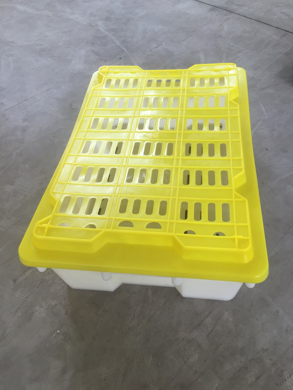 宏海塑业厂家直销渔需冰盘盖渔盒盖渔托盖1.4斤长眼两用冰盒盖