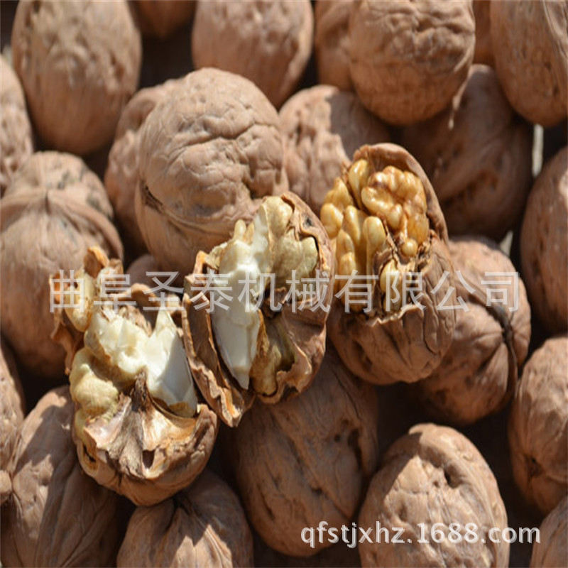 收获机械-核桃清洗脱皮机 青核桃去皮机 全自动