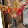 Red Gordon True Flower Flower Natural High Sands can fixed flowers color manufacturers direct sales wholesale