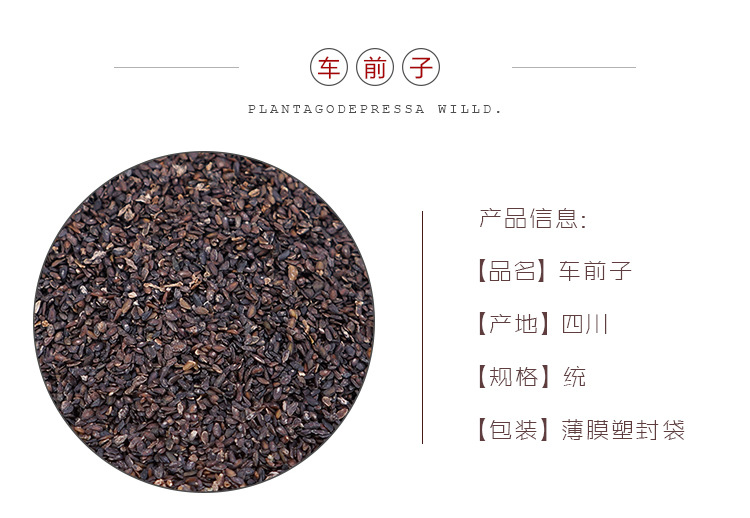 Dried Plantain Seed Che Qian Zi 100g Bulk Loose Whole Seeds for Herbal Decoction and Culinary Use overview