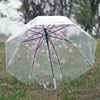 Fuchsia children's small fresh umbrella for elementary school students, increased thickness