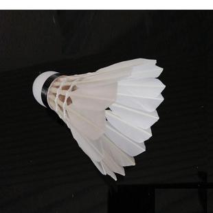 �S�����l�ʹ�����ë������ȫ�A�ļ�������ِ��