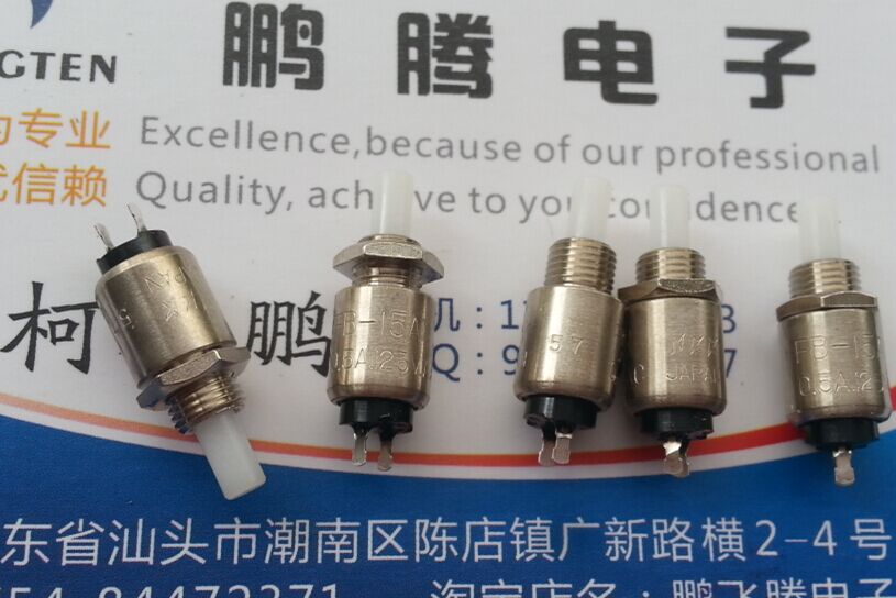 原装日本NKK FB-1NEP2 0.5VA 微型直插2脚按钮开关 自复位按键