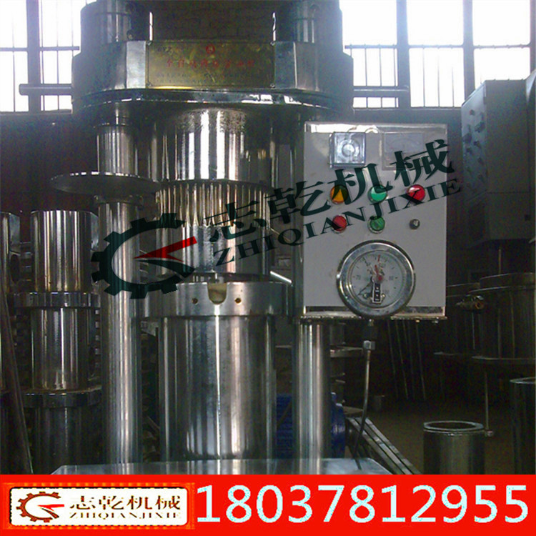 香油机 立式液压香油机 液压榨油机