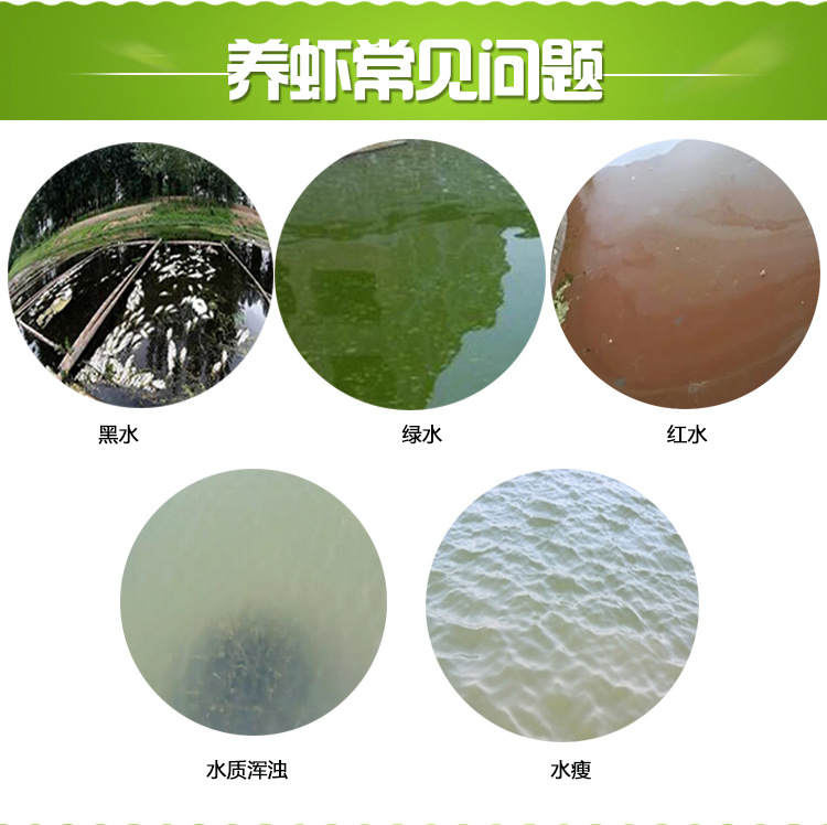 养虾常见问题
