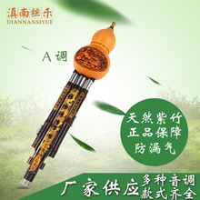 紫竹三音葫芦丝A调专业演奏型葫芦丝乐器 适用琴行学校 厂家直销