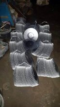 �L���ЬF؛�������⁵����S��ֱ��13712856565 ������̓r�N��