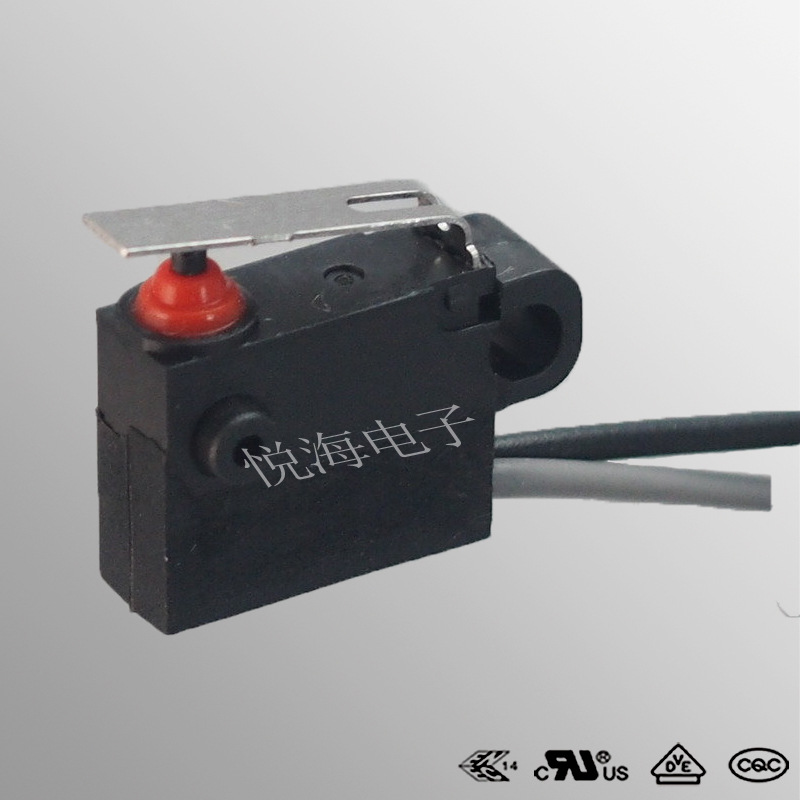 Switch key