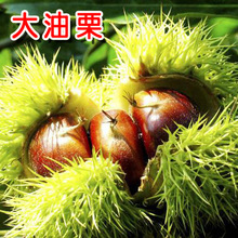 阿里巴巴1688.com - 全球领先的采购批发平台