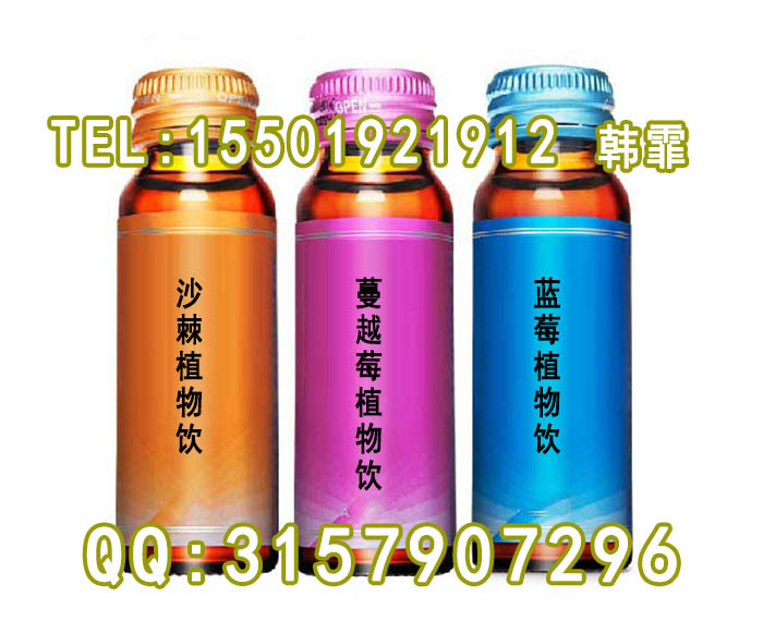 15501921912 沙棘 蓝莓 植物饮 1