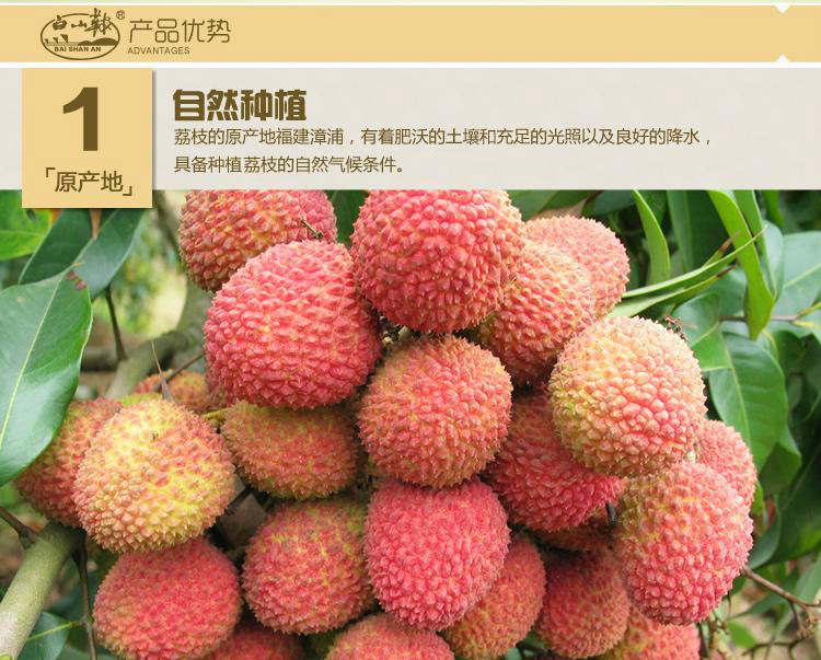 3045097081_1723645131