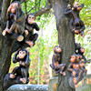 Realistic design jewelry, resin, decorations, monkey, wholesale