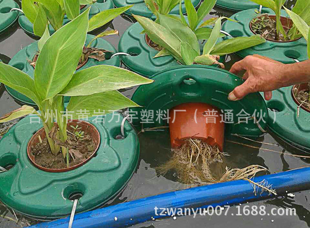 水上种植浮床 水上种植生态浮岛 水上植物浮岛 水上种植生物浮岛
