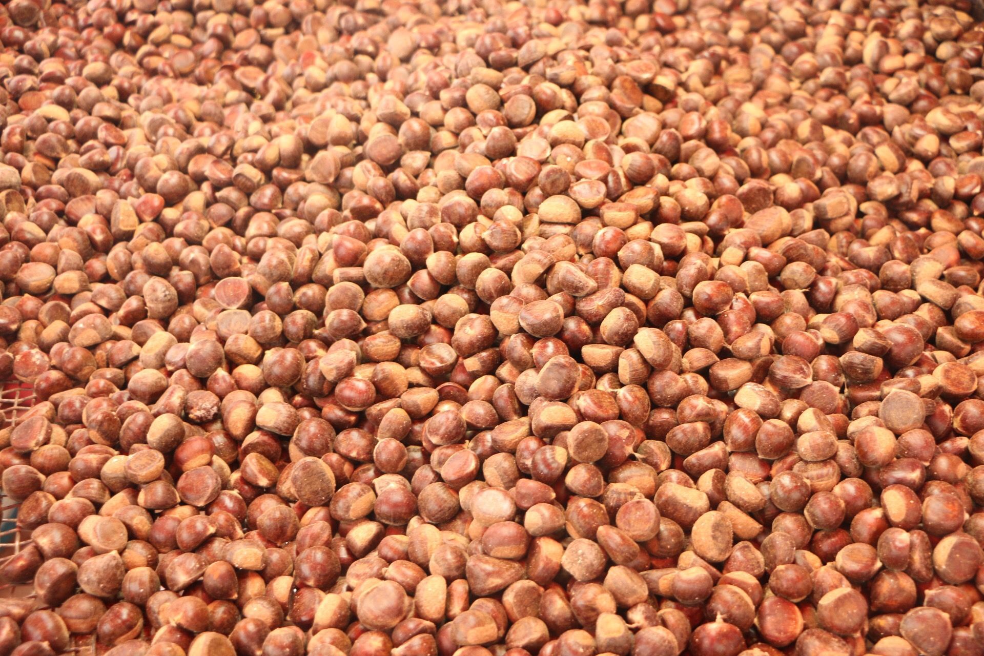 A7C8C9DD%40ACAD9D3E.95FE9456_r