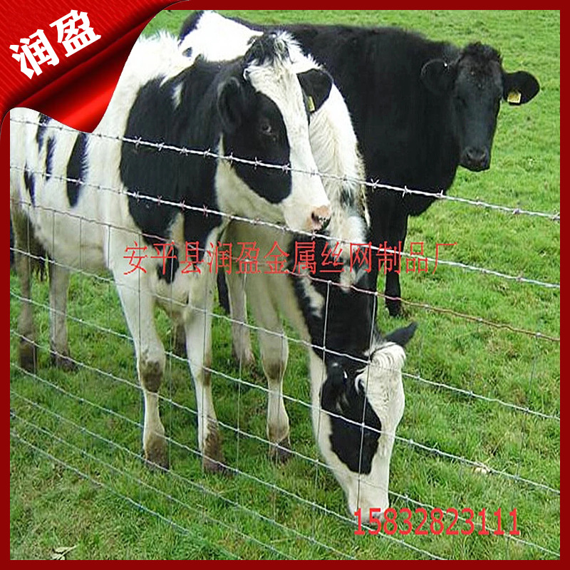 草原镀锌钢丝围栏网