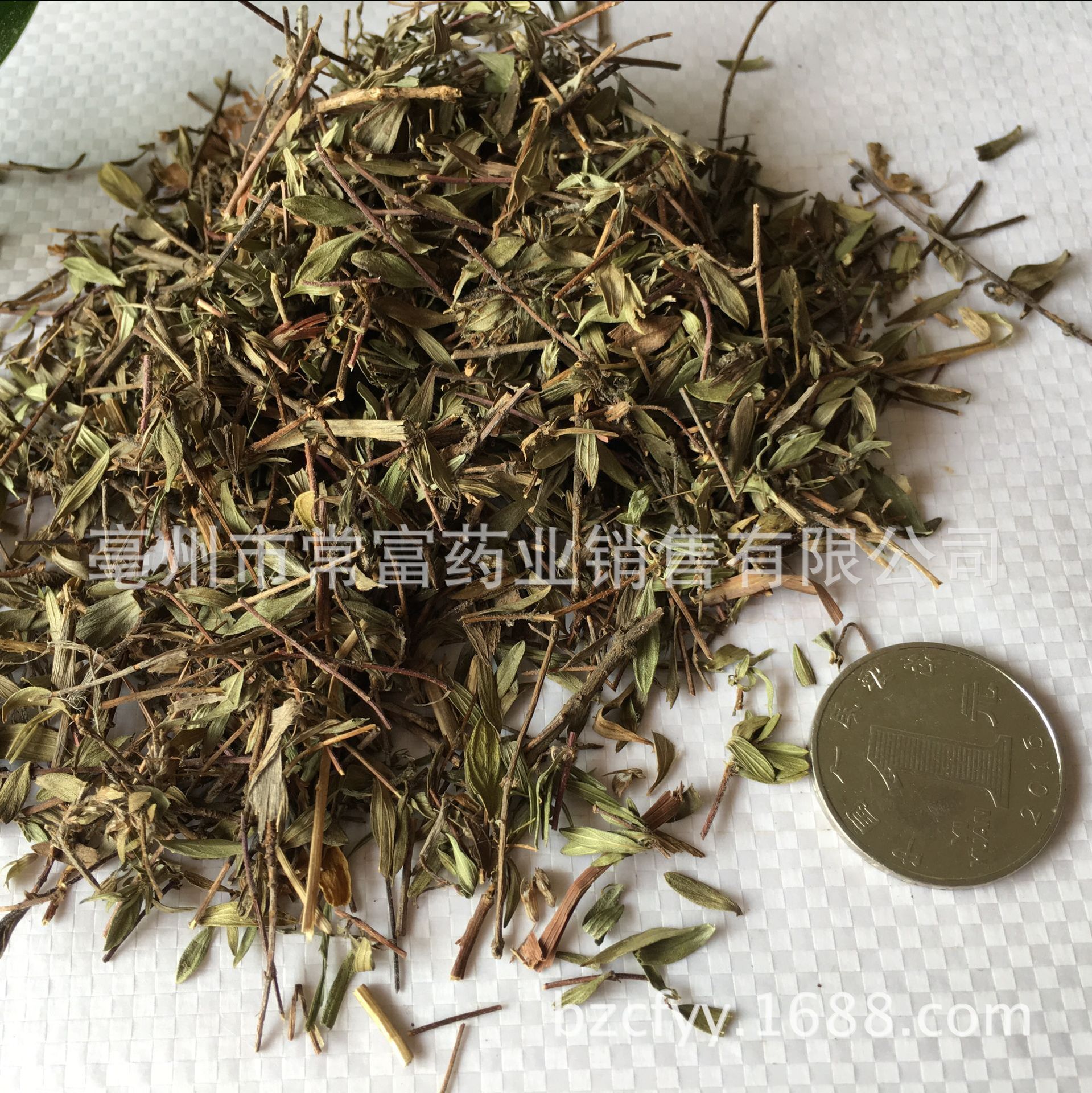 Dried Thyme Herb Bai Li Xiang 500g Culinary Seasoning for Western Cooking and Herbal Tea specifications