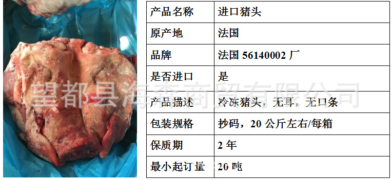 法国56140002猪头