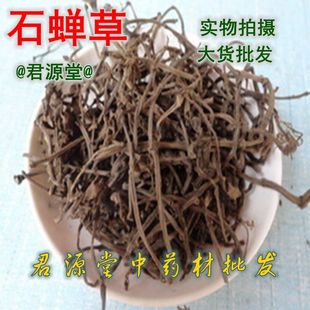 ʯ�s�� ��ș�� ʯ���� ���~�� �����~ ������ ɢѪ��