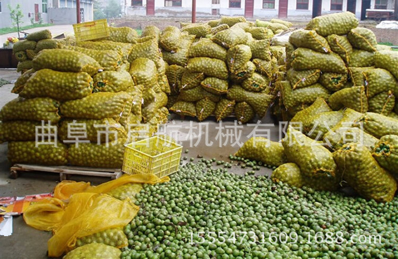 核桃脱皮机 青核桃剥皮机设备 核桃脱皮粗精洗一体机