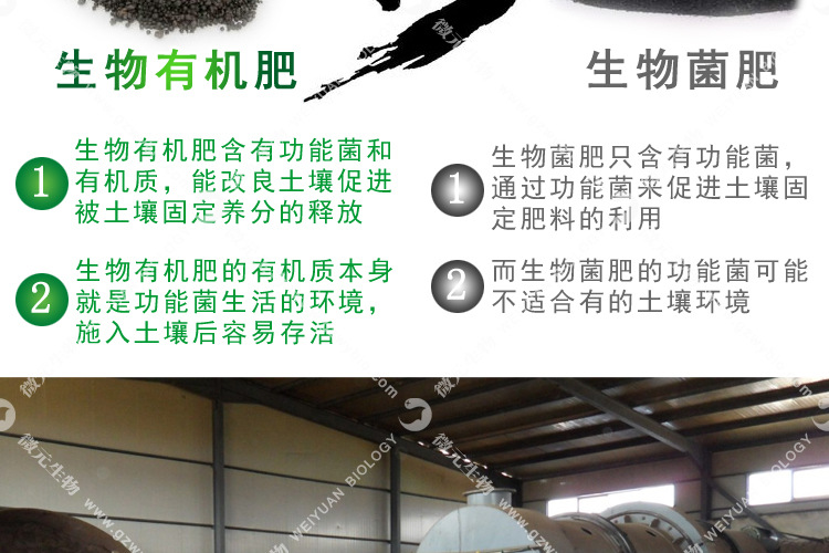 生物功能菌_019