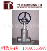 Z60Y-P54160V DN25�ք��վ�l�y